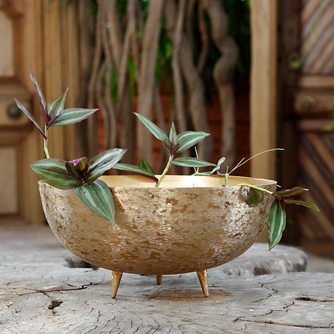 Bowl with Leg Planters