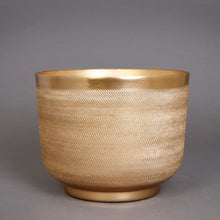 Load image into Gallery viewer, The home Bowl Planter Ridged Gold GD1304-B
