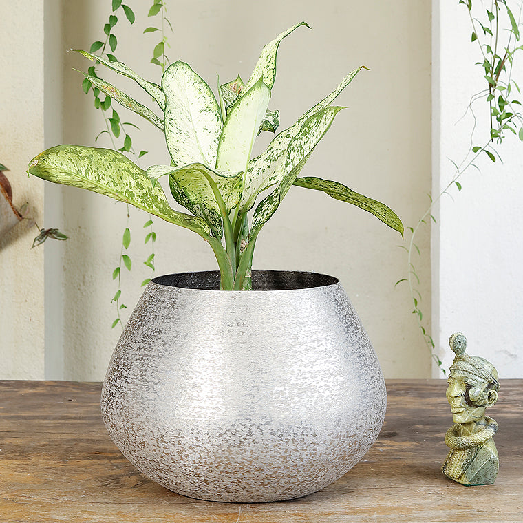 The Home Big Small Planter Hammered Silver NL1418-B