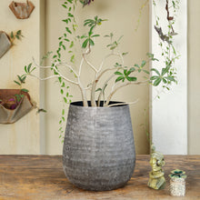 Load image into Gallery viewer, The home Small Barrel Planter Minki Black MB1644-C
