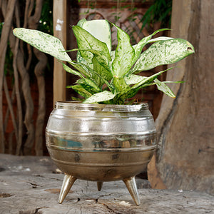 The Home Pot Planter with Legs Gold GD1402-A